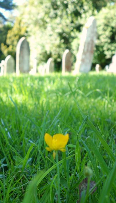 Whalley, Wiswell and Barrow Joint Burial Committee